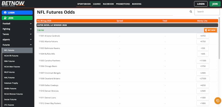A screenshot of BetNow, one of the best Super Bowl sportsbooks.